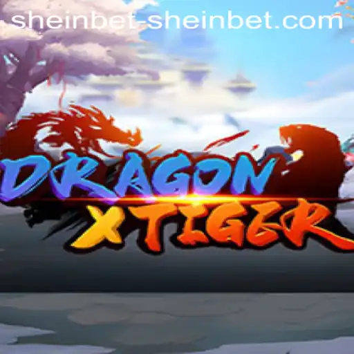 Unleashing the Adventure: A Complete Guide to DragonXTiger